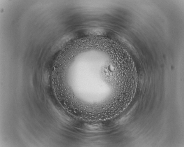 X0000088360359200705221037