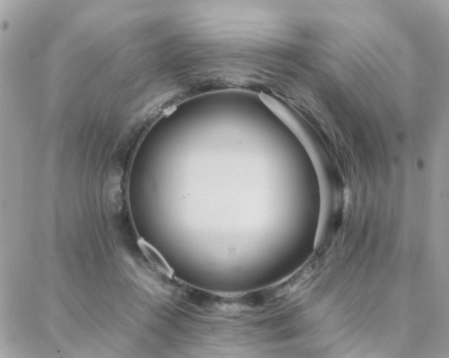 X0000088360360200705221037