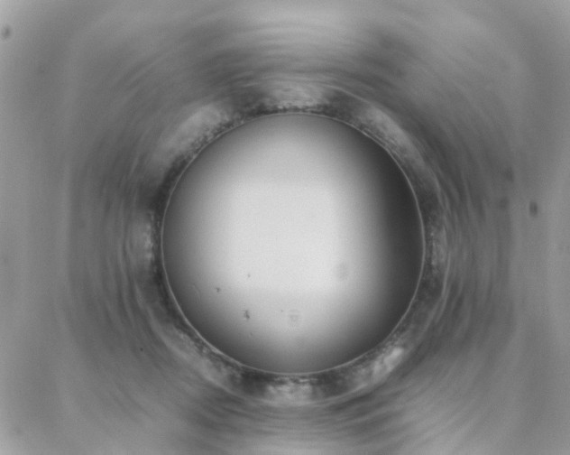 X0000088360362200705221037