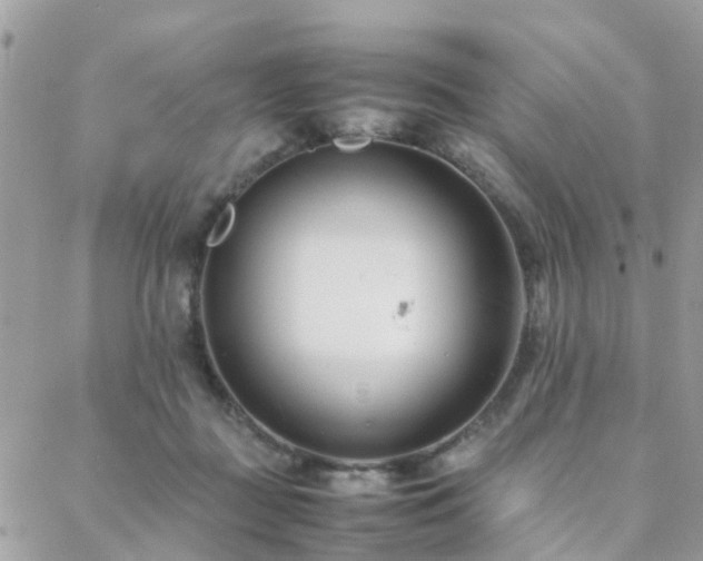 X0000088360363200705221037