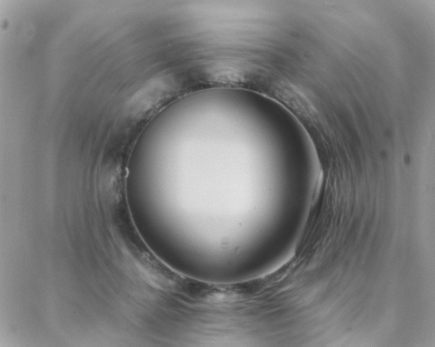 X0000088360364200705221037