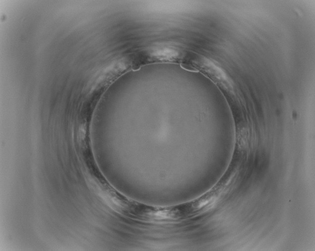 X0000088360365200705221037