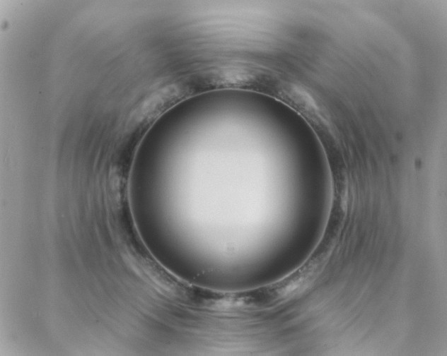 X0000088360366200705221037