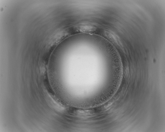 X0000088360367200705221037