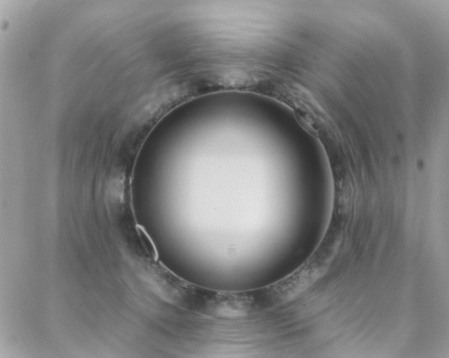 X0000088360368200705221037