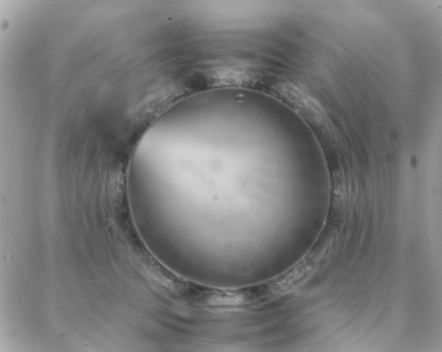 X0000088360369200705221037