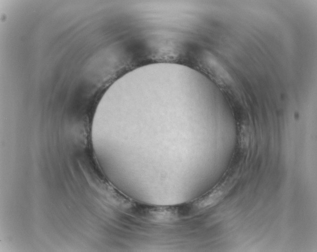 X0000088360370200705221037