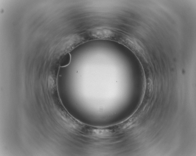 X0000088360371200705221037