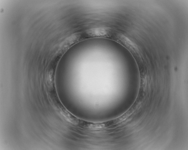 X0000088360373200705221037