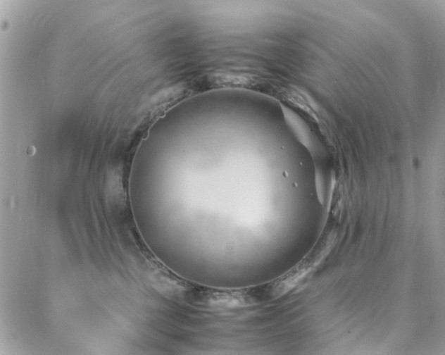 X0000088360377200705221037