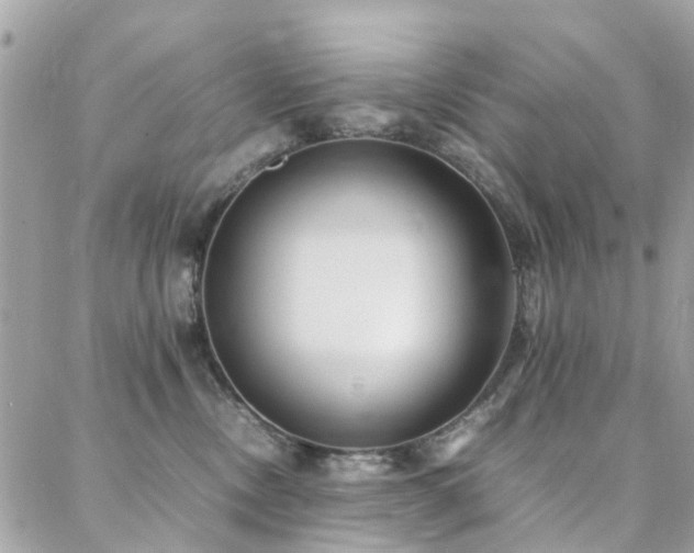 X0000088360378200705221037