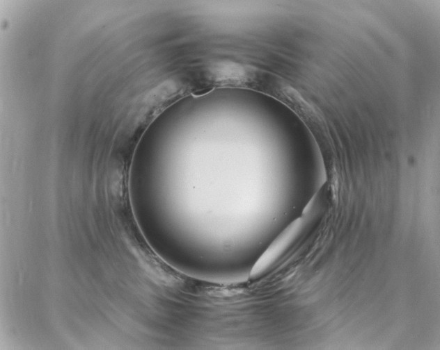 X0000088360379200705221037