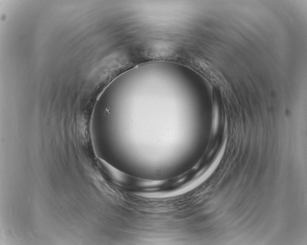 X0000088360380200705221037