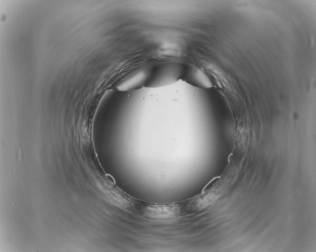 X0000088360381200705221037