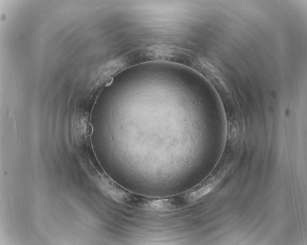 X0000088360382200705221037