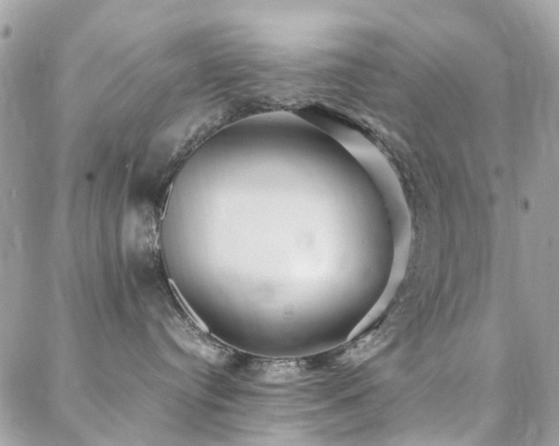 X0000088360384200705221037