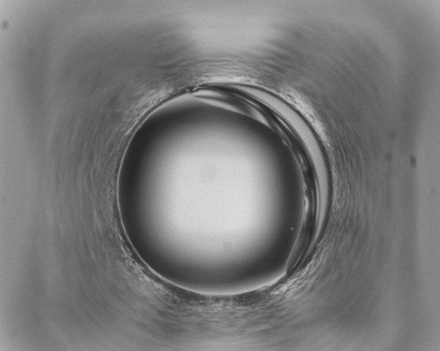 X0000088360385200705221036