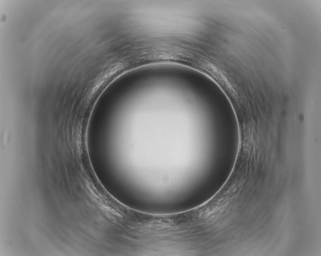 X0000088360386200705221036