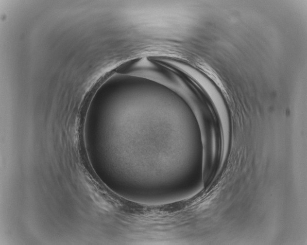 X0000088360387200705221036