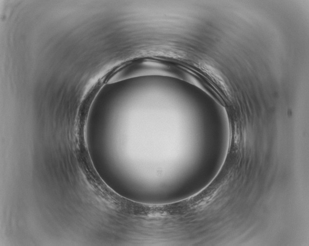 X0000088360388200705221036