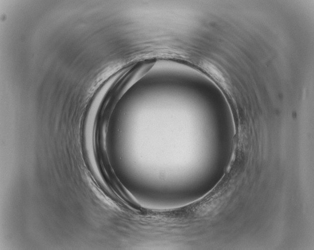 X0000088360389200705221036