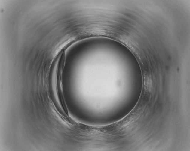 X0000088360390200705221036