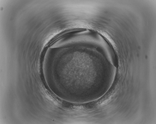 X0000088360391200705221036