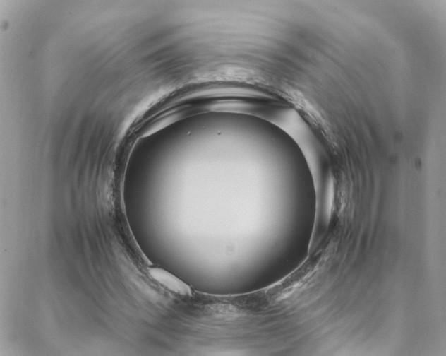 X0000088360392200705221036