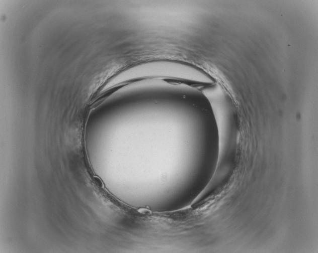 X0000088360393200705221036