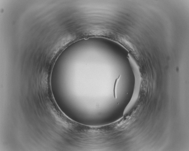 X0000088360394200705221036