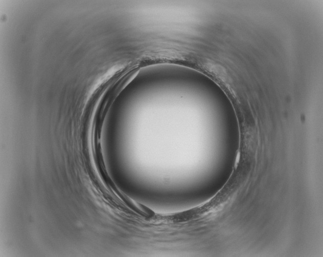 X0000088360395200705221036