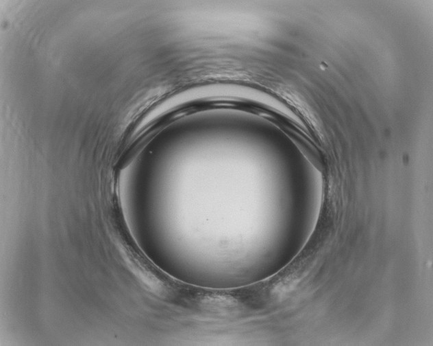 X0000088360397200705221036