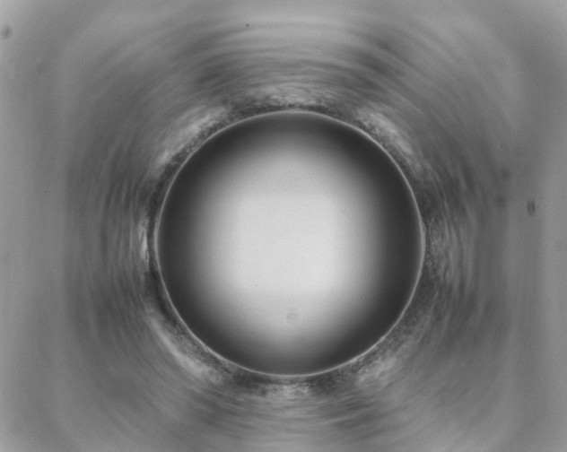 X0000088360398200705221036