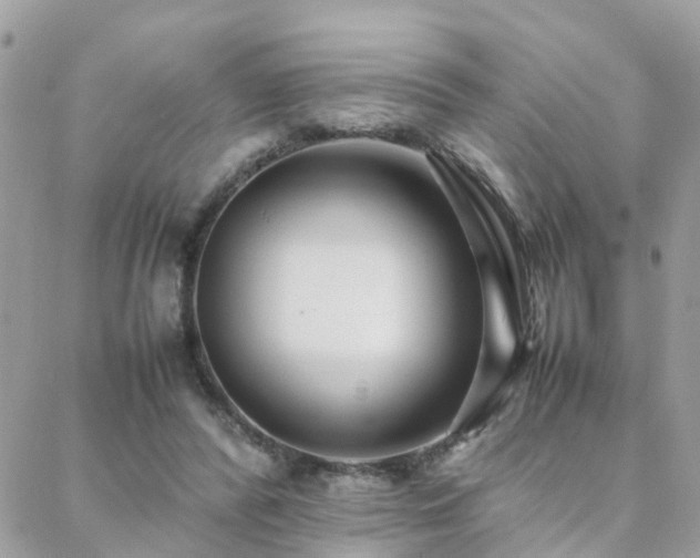 X0000088360400200705221036