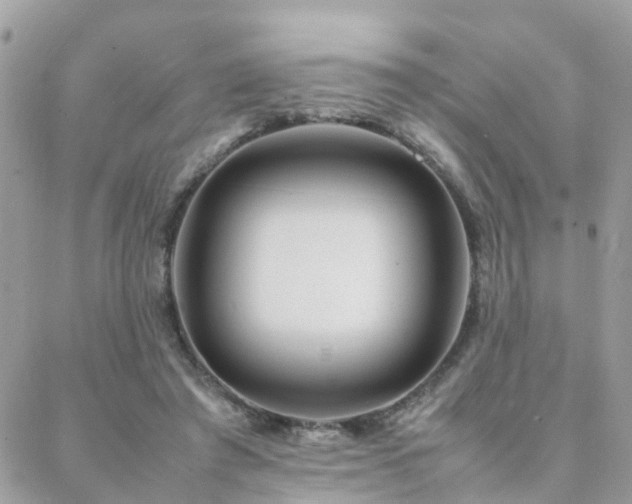 X0000088360401200705221036