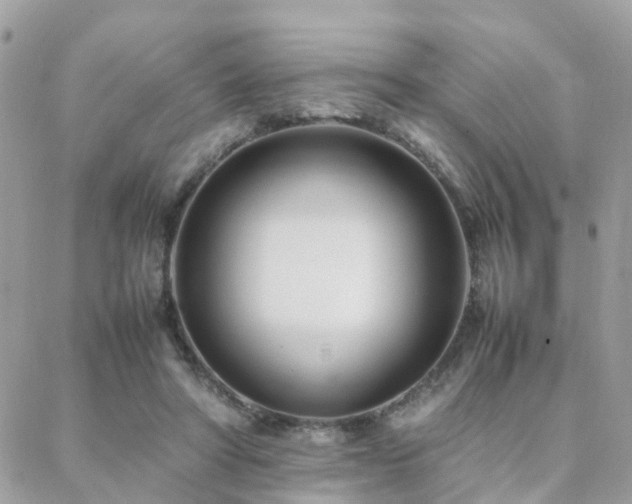 X0000088360402200705221036