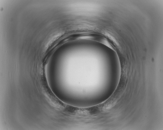 X0000088360403200705221036