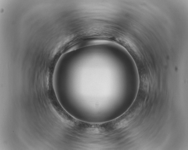 X0000088360404200705221036