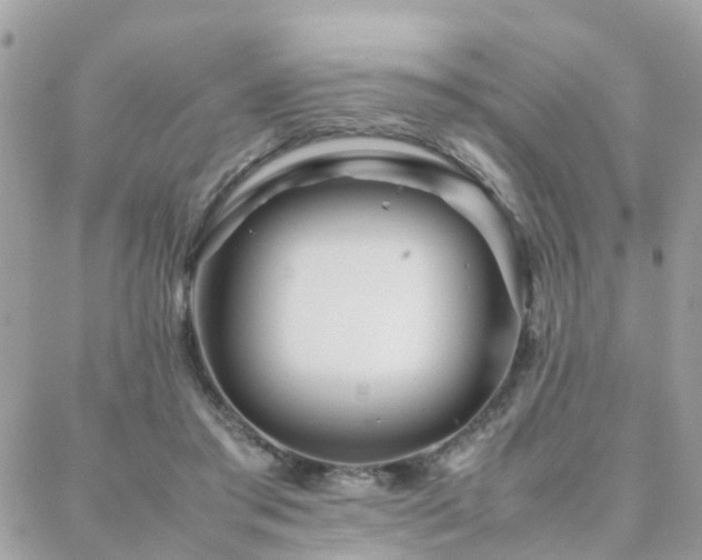 X0000088360405200705221036