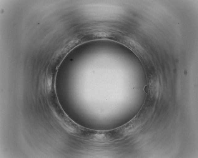 X0000088360406200705221036