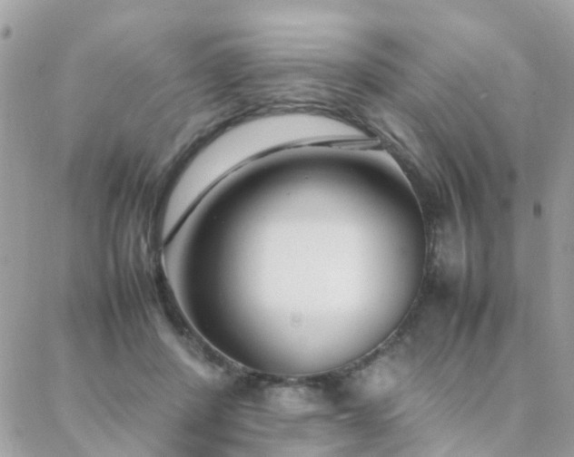 X0000088360408200705221036