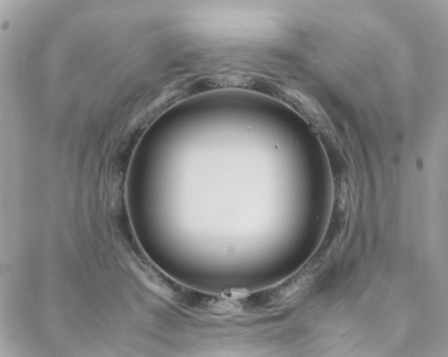 X0000088360409200705221036