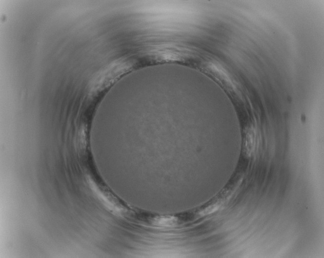 X0000088360410200705221036