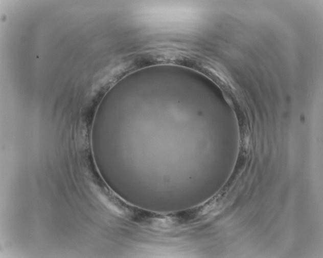 X0000088360411200705221036