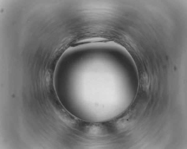 X0000088360412200705221036