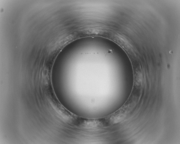 X0000088360414200705221036