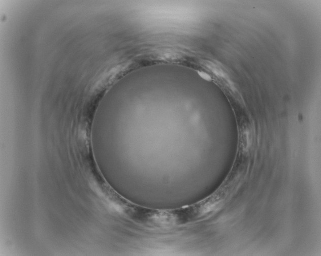 X0000088360415200705221036