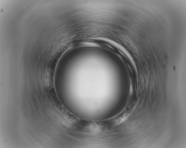 X0000088360416200705221036