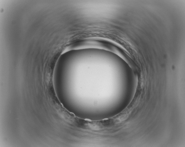 X0000088360417200705221036