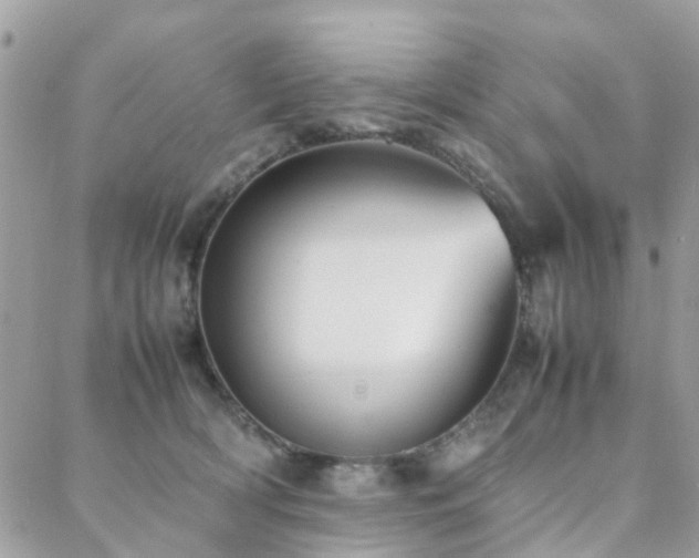 X0000088360418200705221036